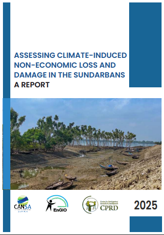 Report Cover: Assessing Climate-Induced Non-Economic Loss and Damage