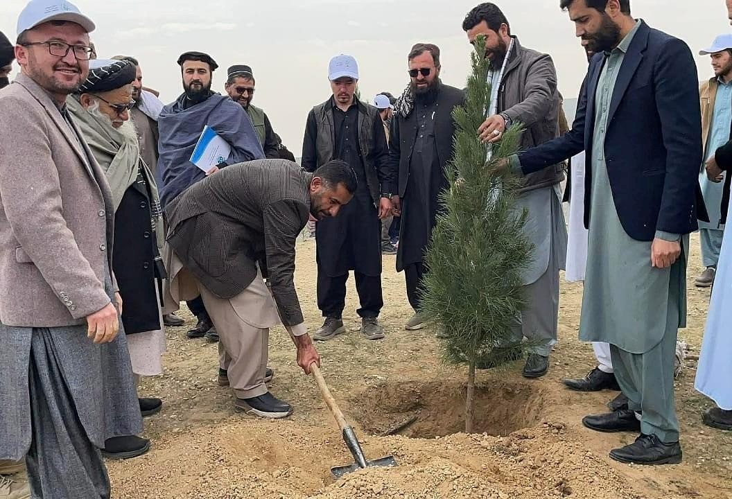 Tree Plantation Campaign